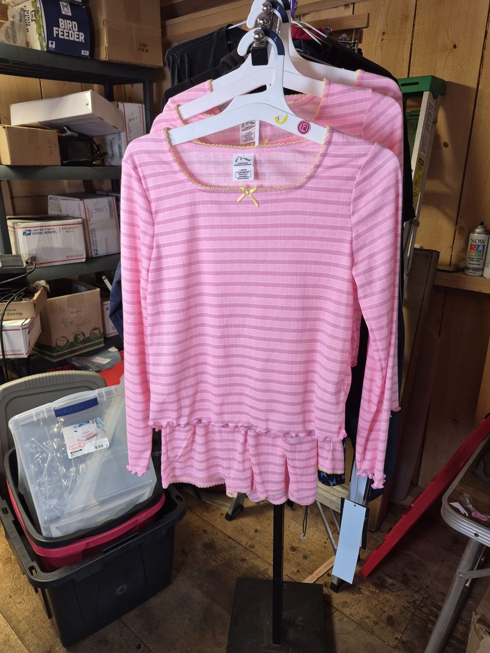 Girls Pink Striped Long-Sleeve Ruffle Hem Top With Shorts Bin 53